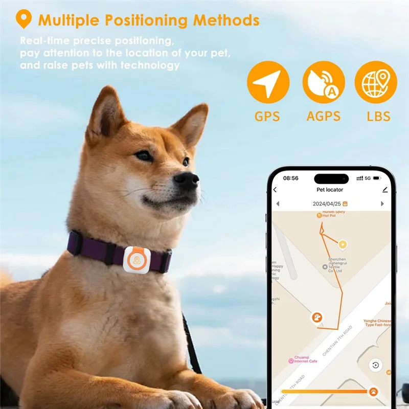 PawPoint Pet GPS Tracker With Health Monitor Collar