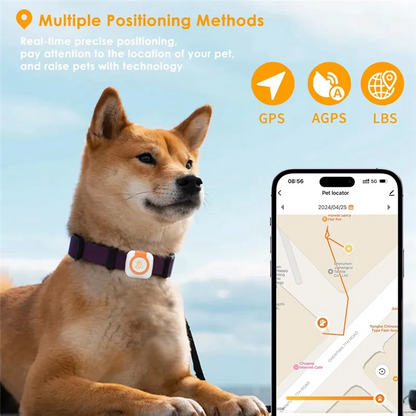 PawPoint Pet GPS Tracker With Health Monitor Collar